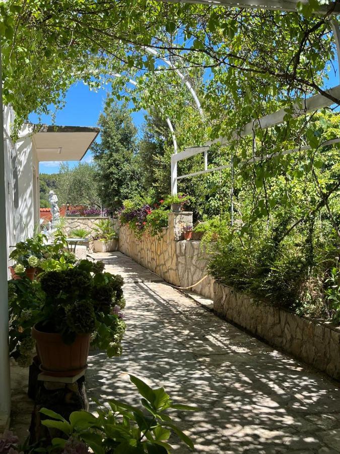 Ferienwohnung Gorana Apartman With Swimming Pool Jelsa  Exterior foto