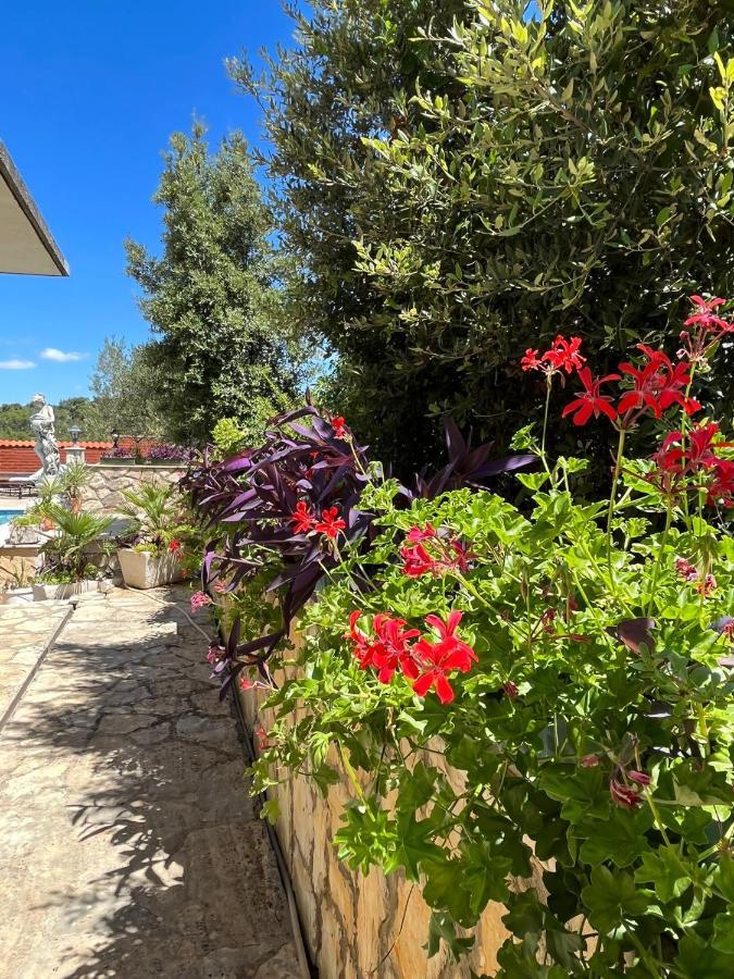 Ferienwohnung Gorana Apartman With Swimming Pool Jelsa  Exterior foto